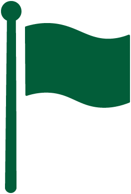 27_CTS_Website Iconography_Flag copy