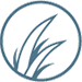 agronomy agronomy
